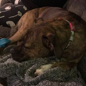 Meet your Posher, Heather